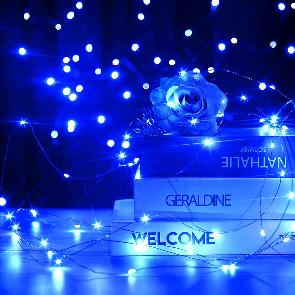 20M 200 LED String Lights - Blue Light