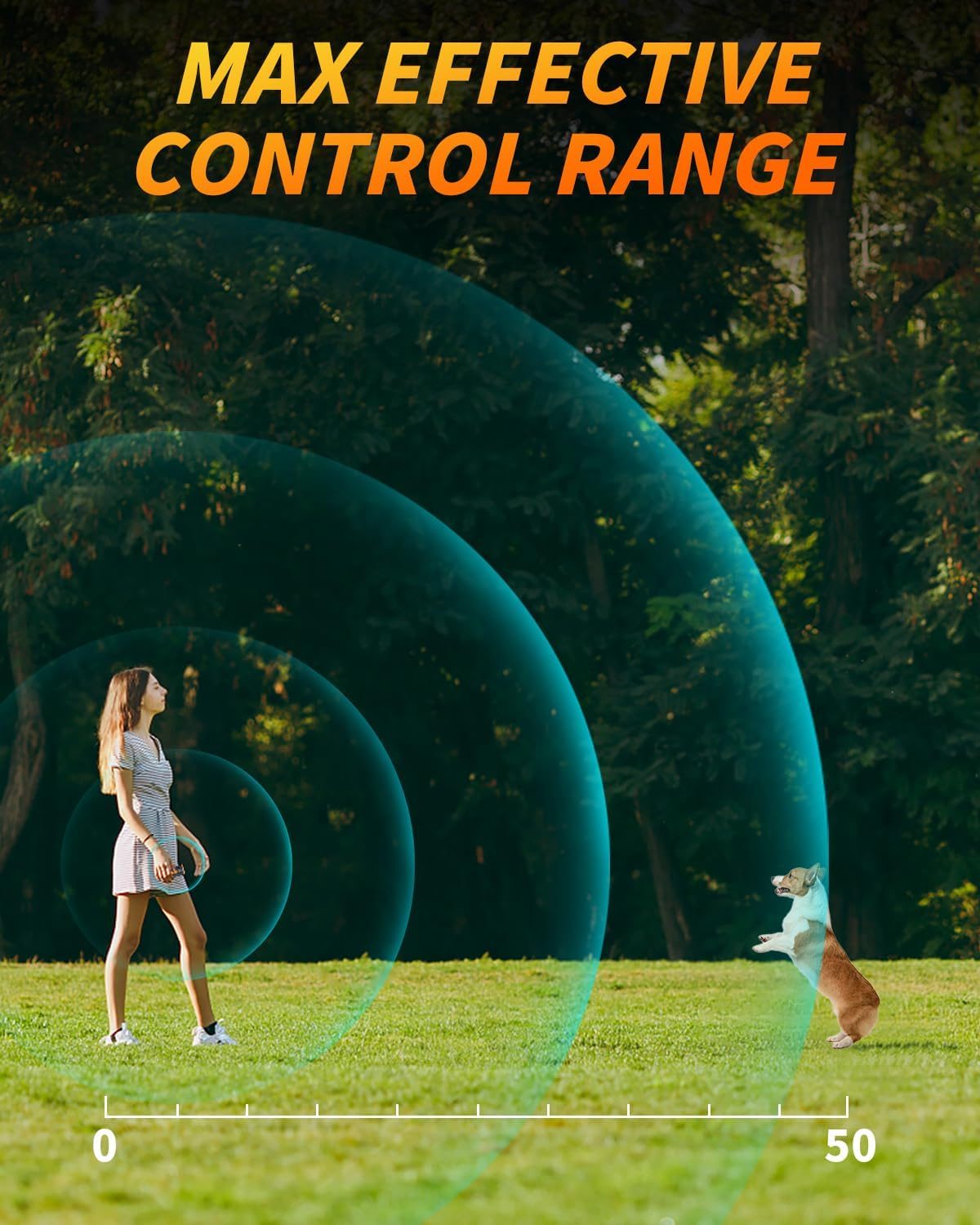 Anti Bark Dog Trainer