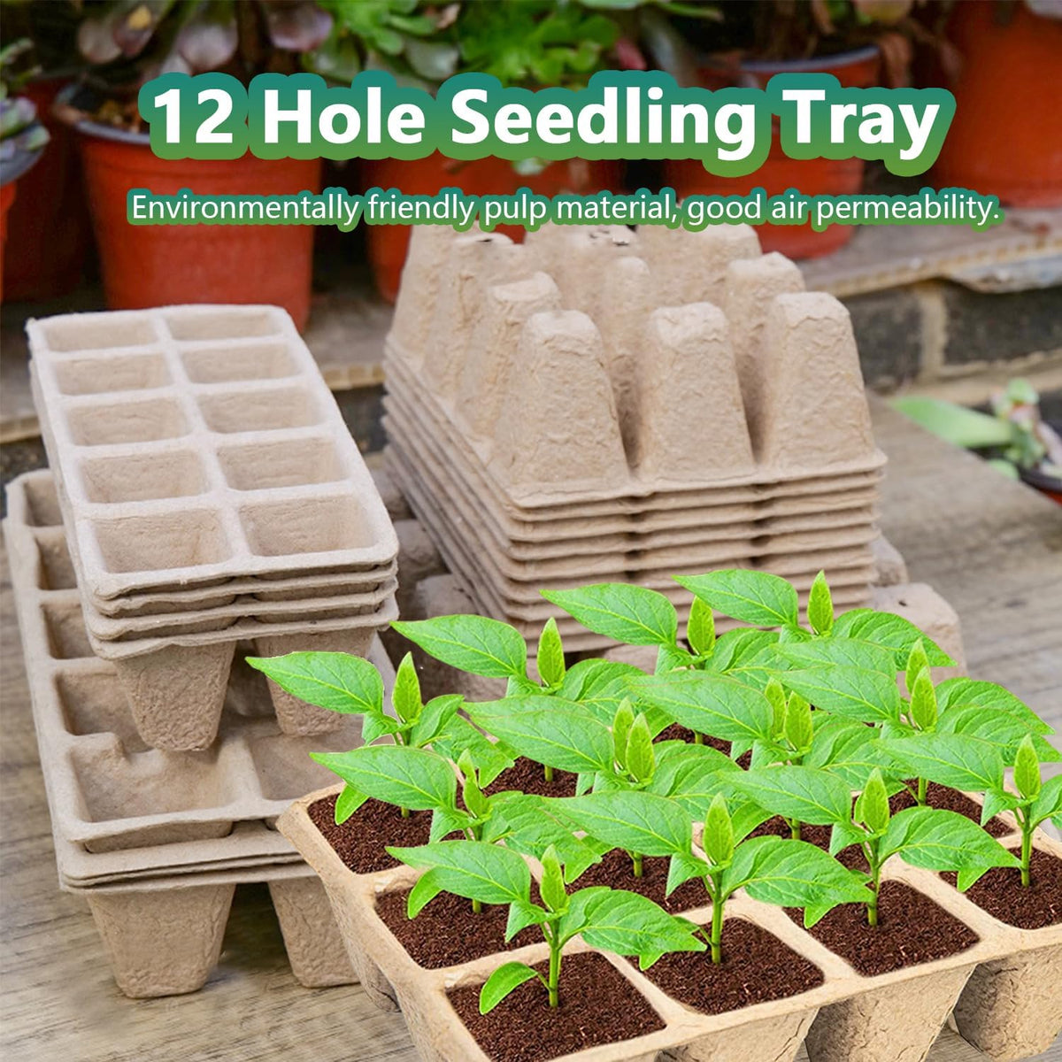 30Pcs Seed Trays 12 Cells Seed Starter Kit for Seeds Growing Starting