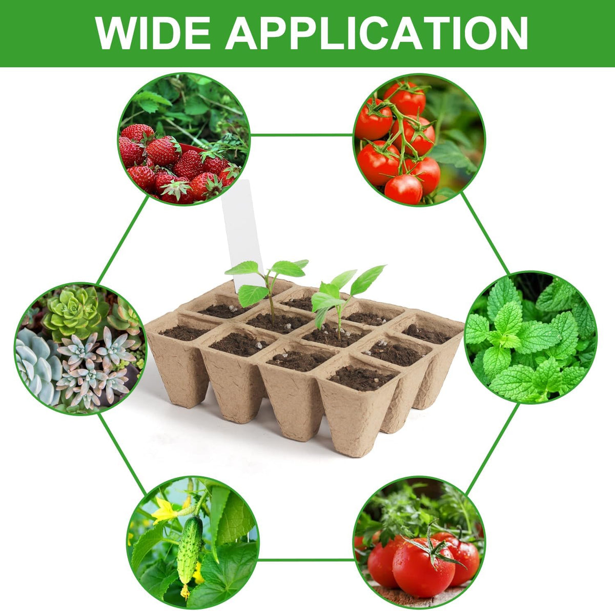 30Pcs Seed Trays 12 Cells Seed Starter Kit for Seeds Growing Starting